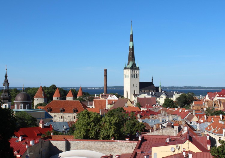 Два дня приключений в Таллине-хотим сюда вернуться!