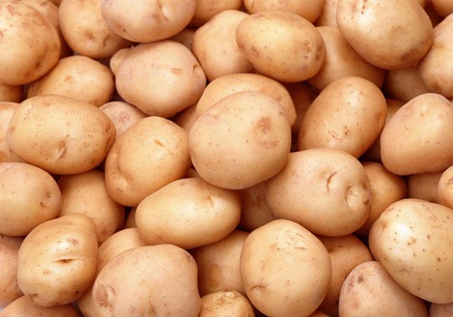 Полезные свойства молодой картошки