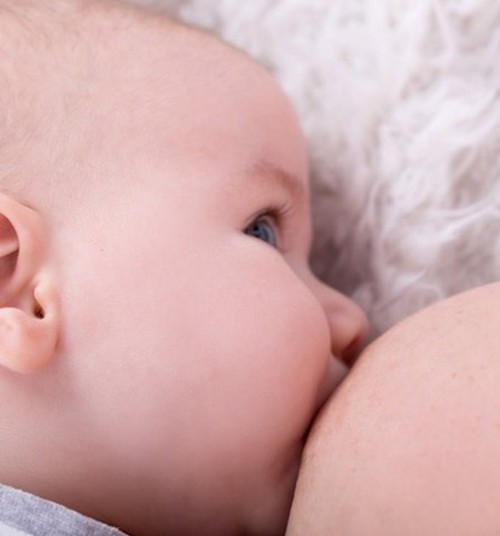 Почему лекцию об организации грудного вскармливания важно посетить во время беременности?