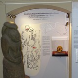 Image description