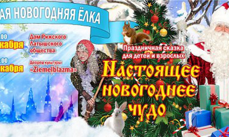 Чудо Новогодней Сказки Чудо Новогодней Сказки