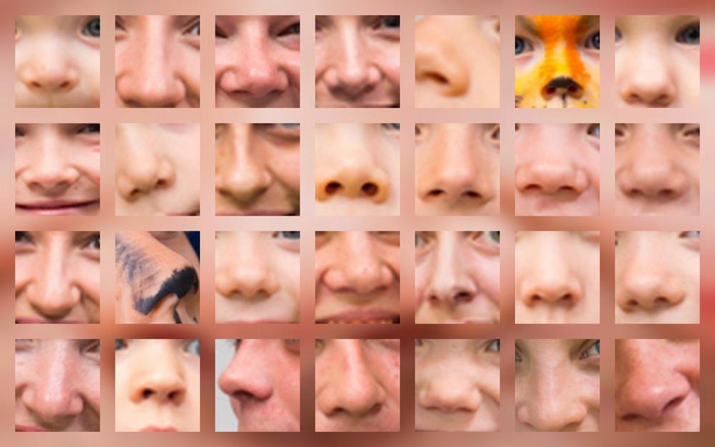 Вырасти по лицам. Разные носы. Разные формы носа. Разные типы носа. Нос человека разной формы.