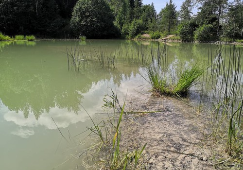 Лето, ах лето: озеро Лачкрога – разочарование сезона