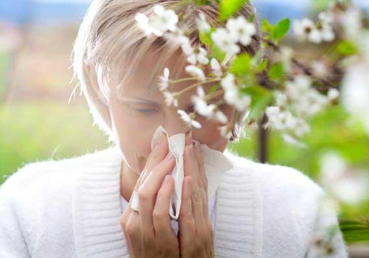 БЛОГ ЛЕНЫ: Аллергия на пыльцу и как с ней справляться