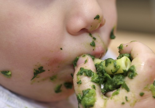 7 овощей зеленого цвета для здоровья твоего малыша
