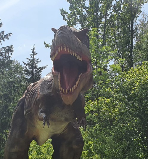 В поисках динозавров: Раубонис парк, Литва (1)